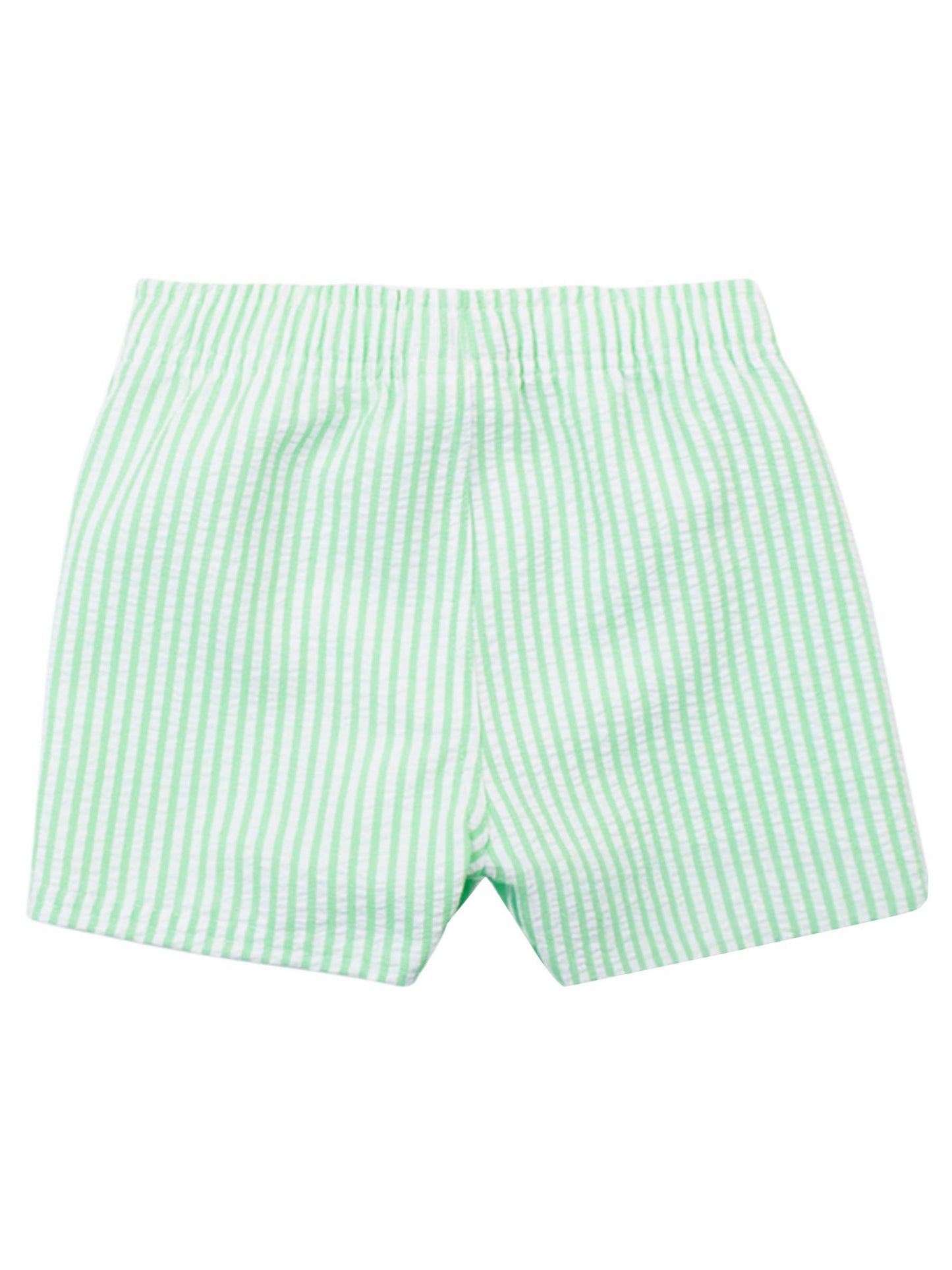 Boys Spring Green Swim Trunks