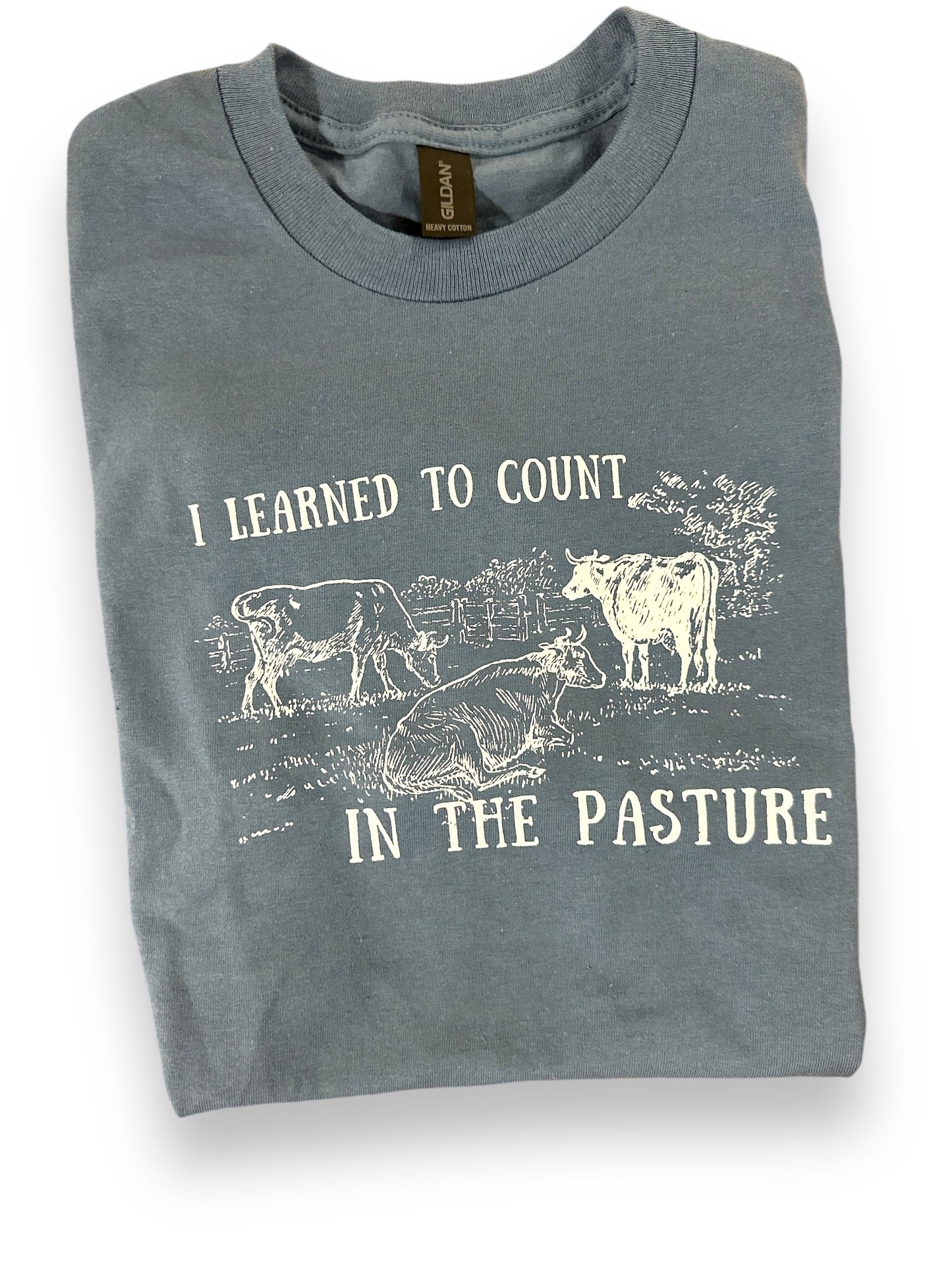 Learning To Count Adult Tee