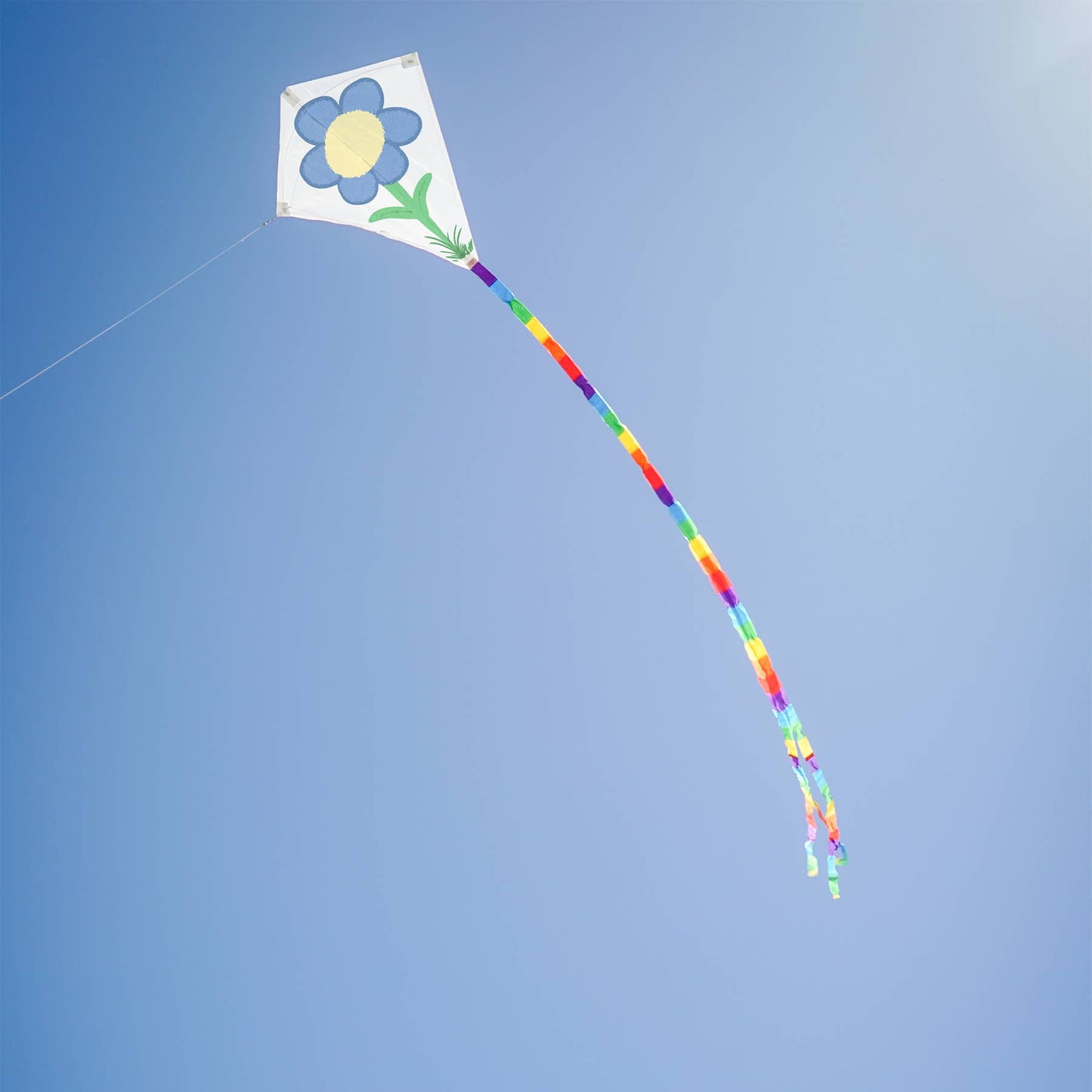 Diamond Coloring Kite