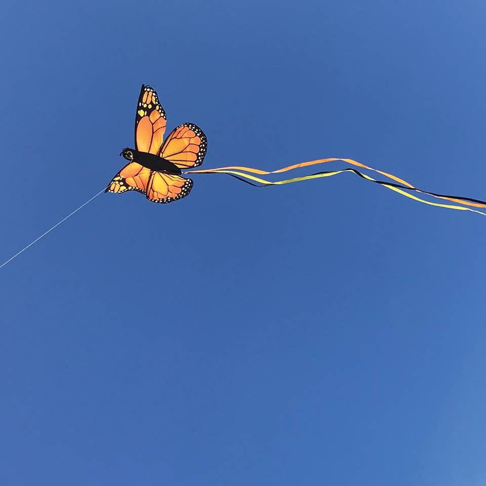 Monarch Butterfly Kite