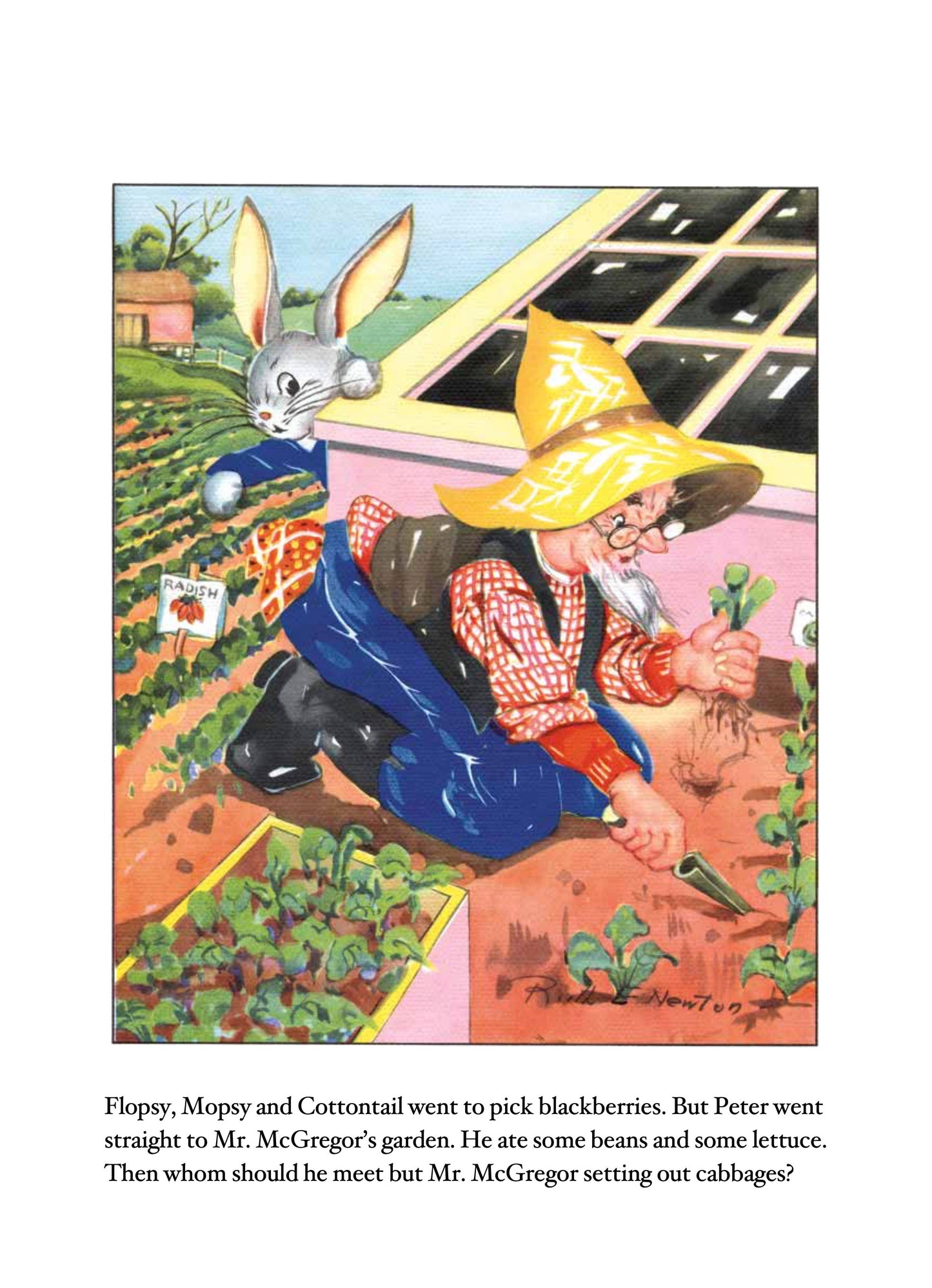 Peter Rabbit- Children's Picture Book-Vintage