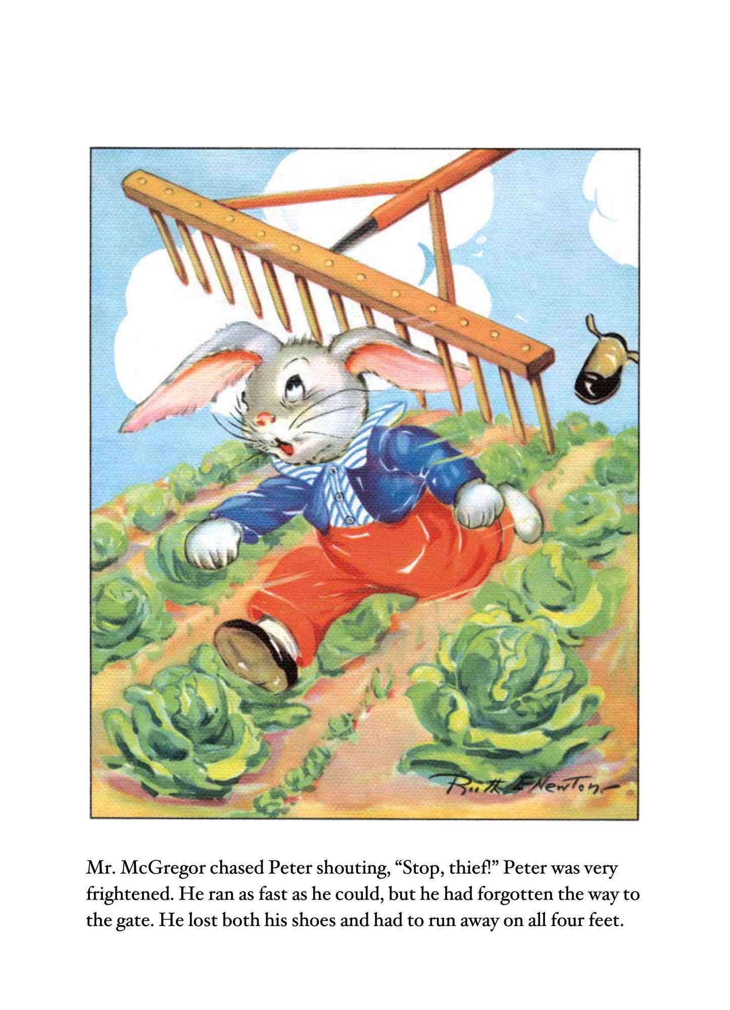 Peter Rabbit- Children's Picture Book-Vintage