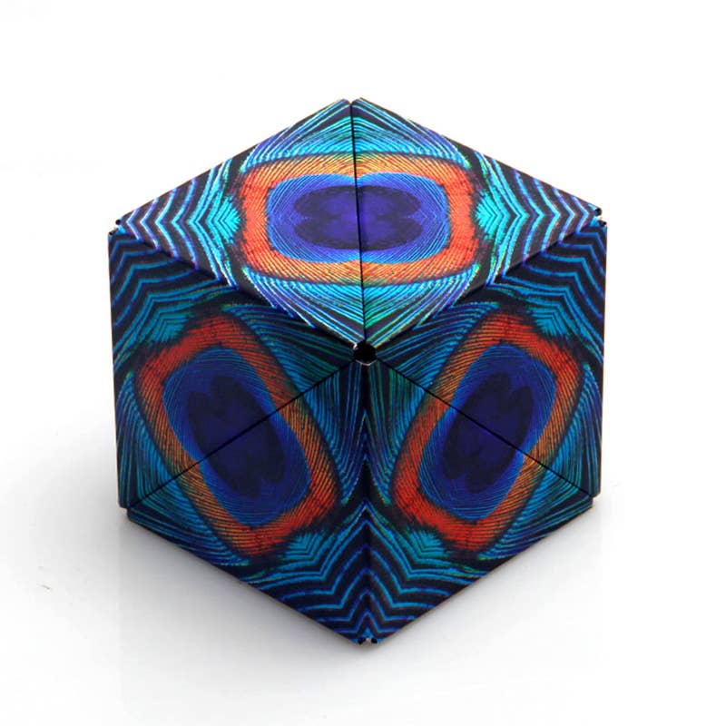 Shashibo Wings Magnetic Puzzle Cube STEM STEAM MESH