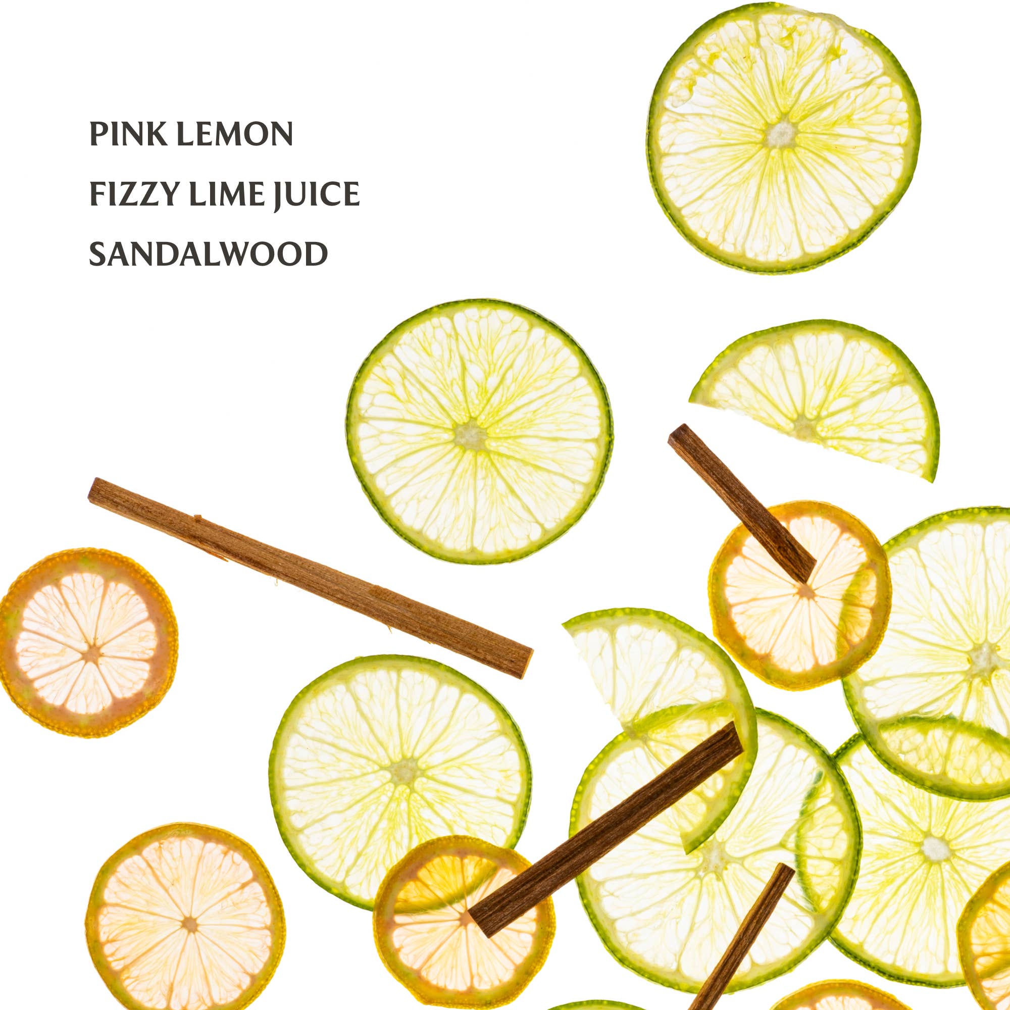 Lemon Lime Spritz Power Mist Hydrating Hand Sanitizer