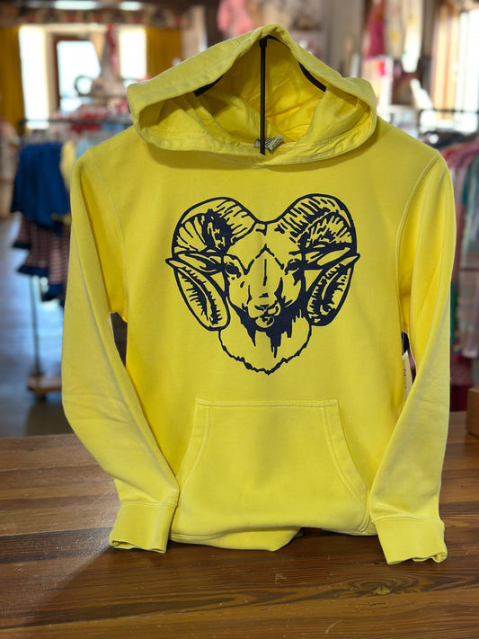 Ram Youth Hoodie