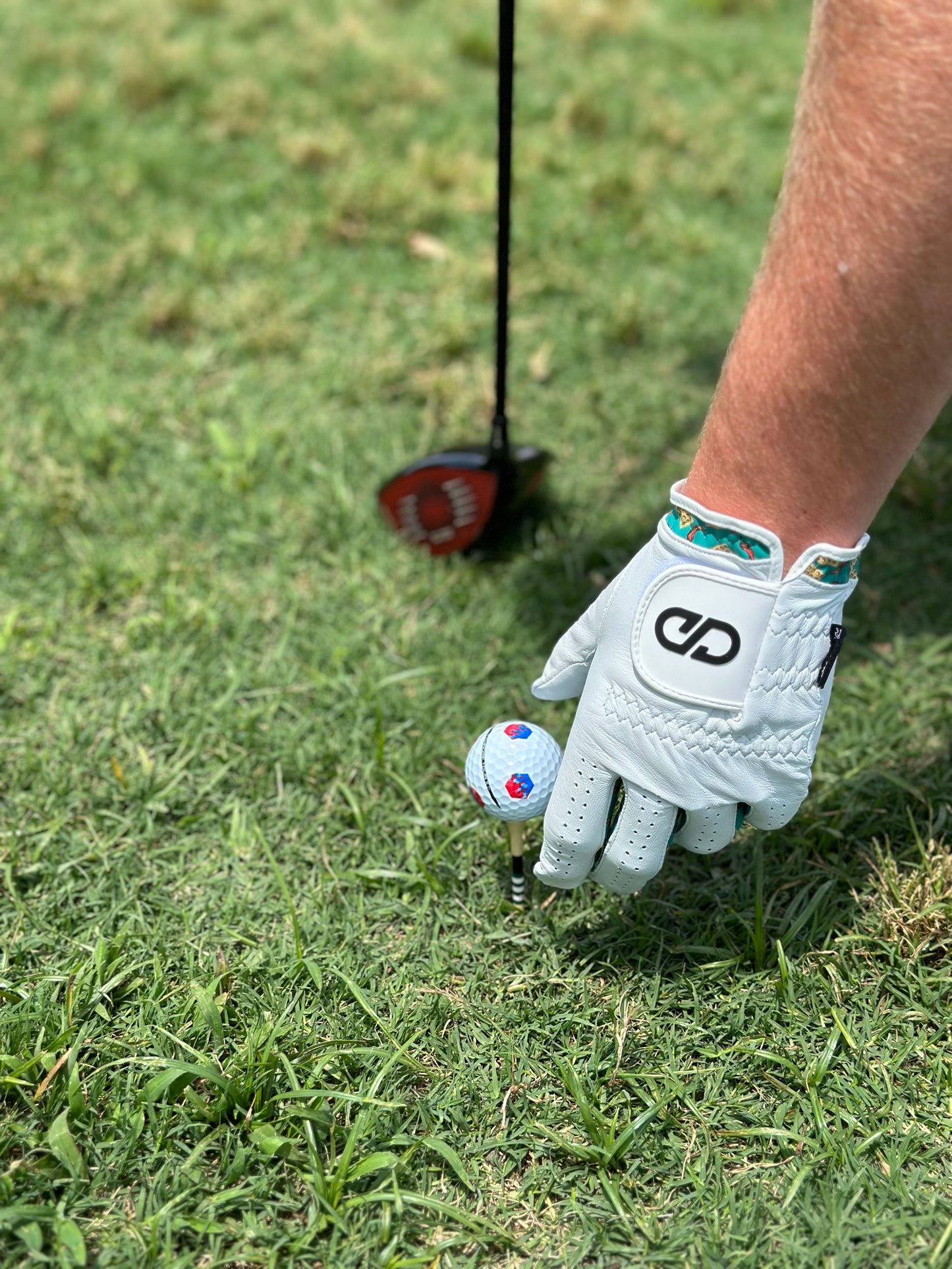 Men's Chili Dip Golf Glove