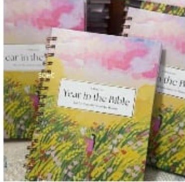 A Beautiful Year in the Bible for Women