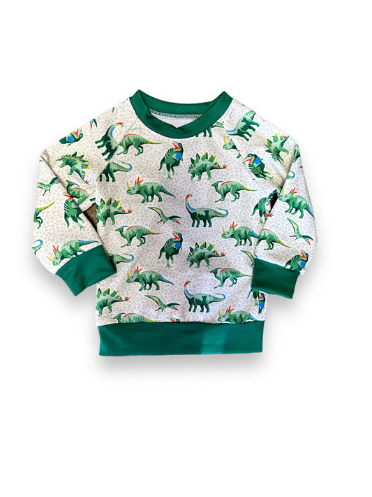 Boys Dinosaur Sweater