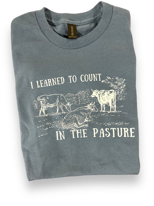 Learning To Count Adult Tee