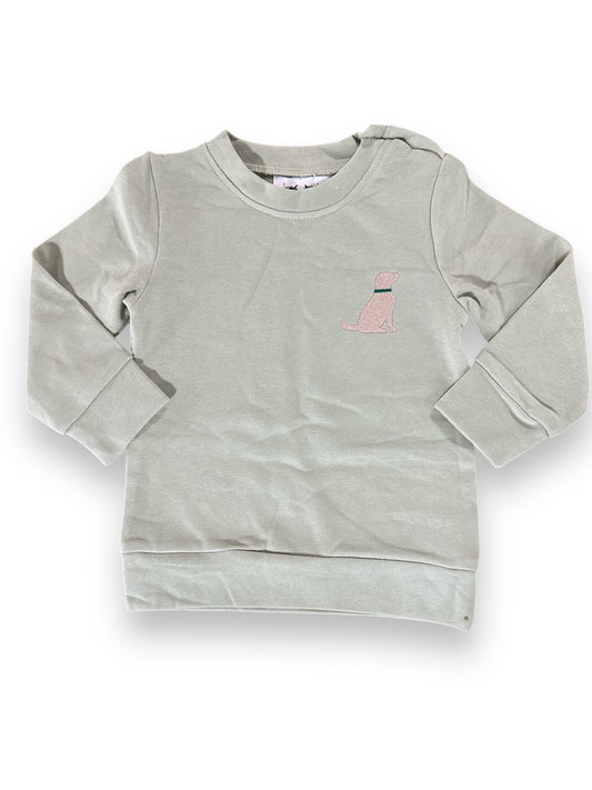 Sage Green Lab Sweatshirt