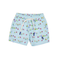 Boat Race Swim Trunk