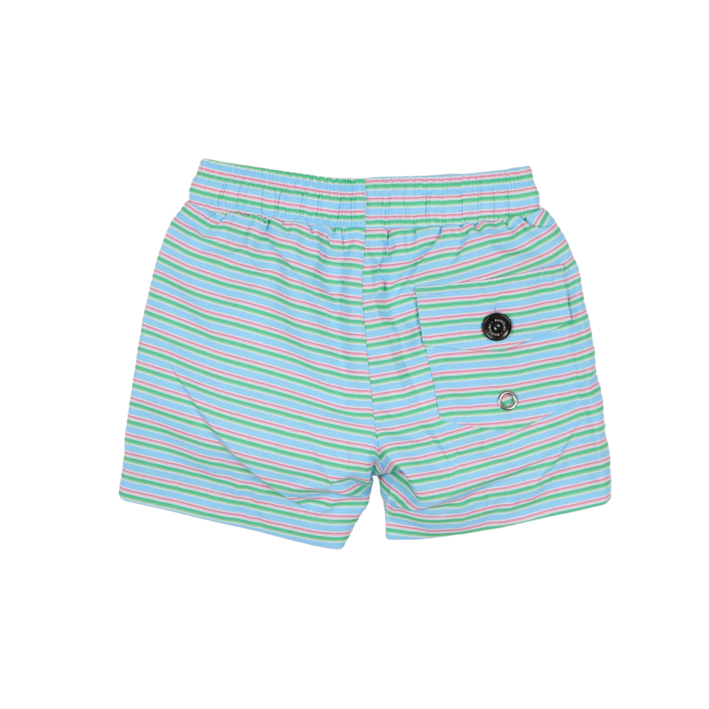 Sherbert Stripe Swim Trunk