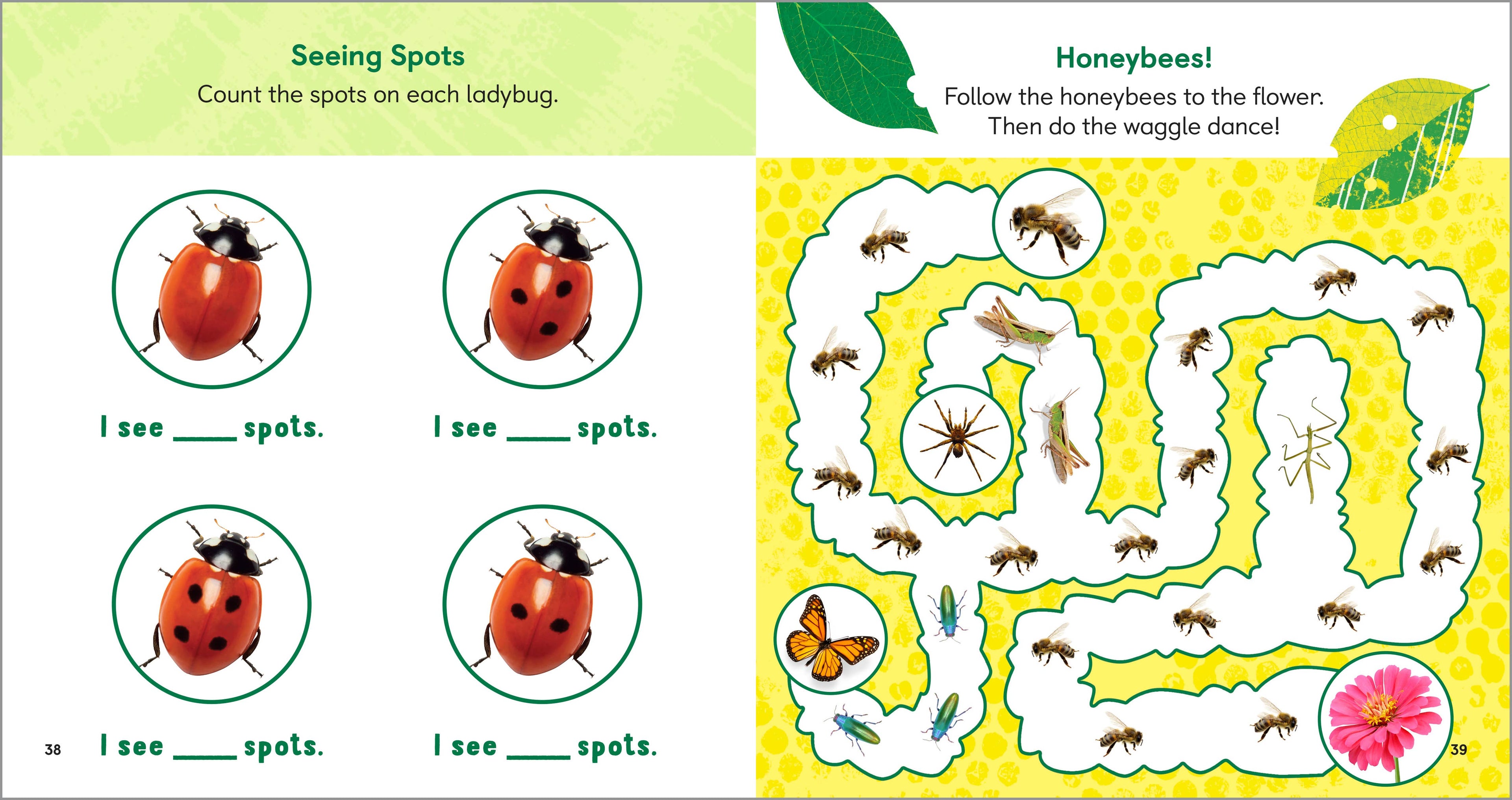 Backyard Bug Book for Kids