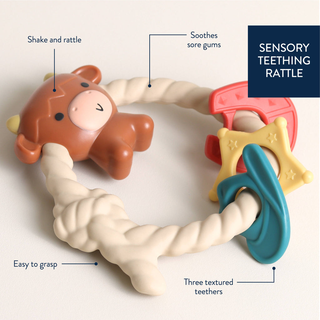 Ritzy Rattle™ Silicone Teether Rattles: Rainbow