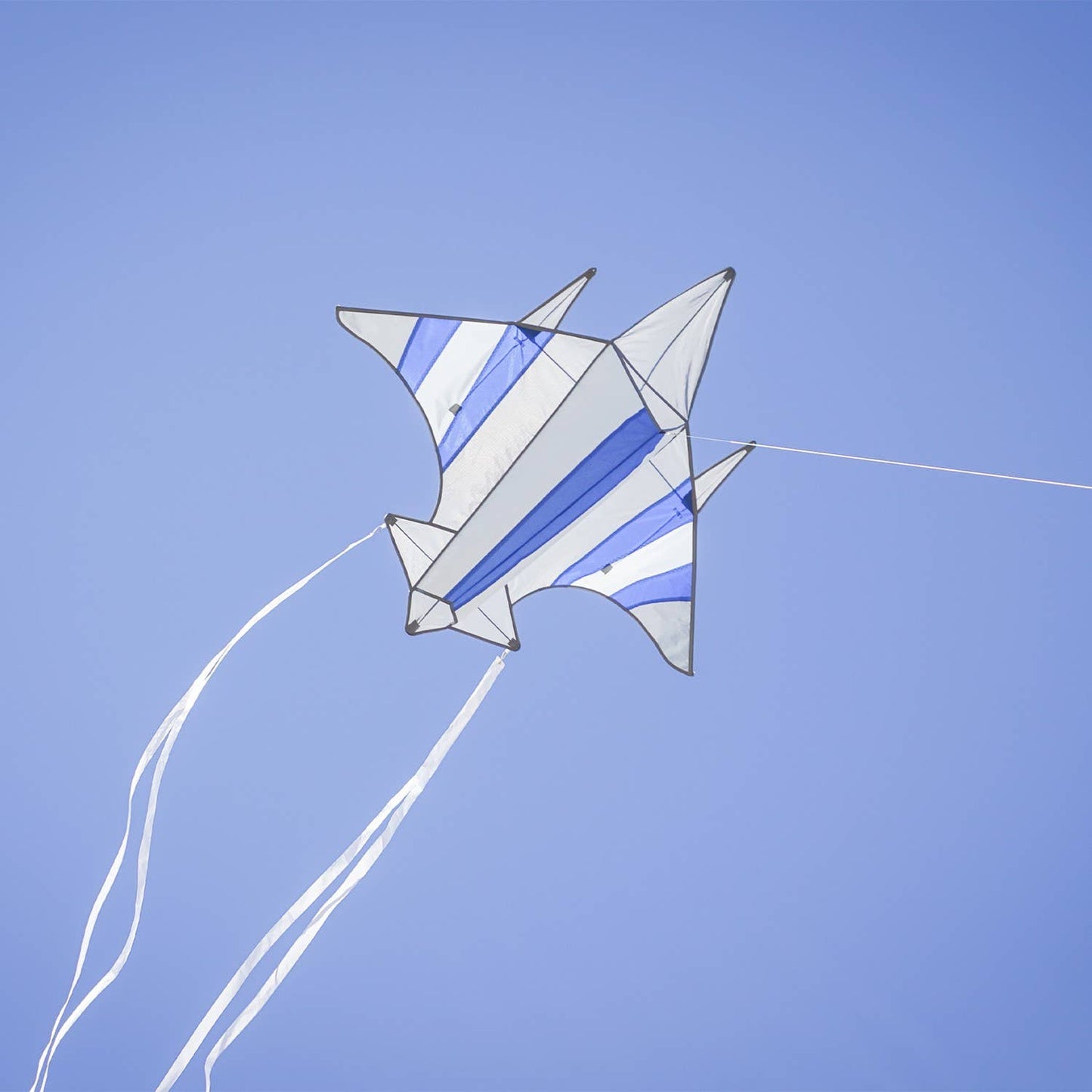 Fighter Jet Kite