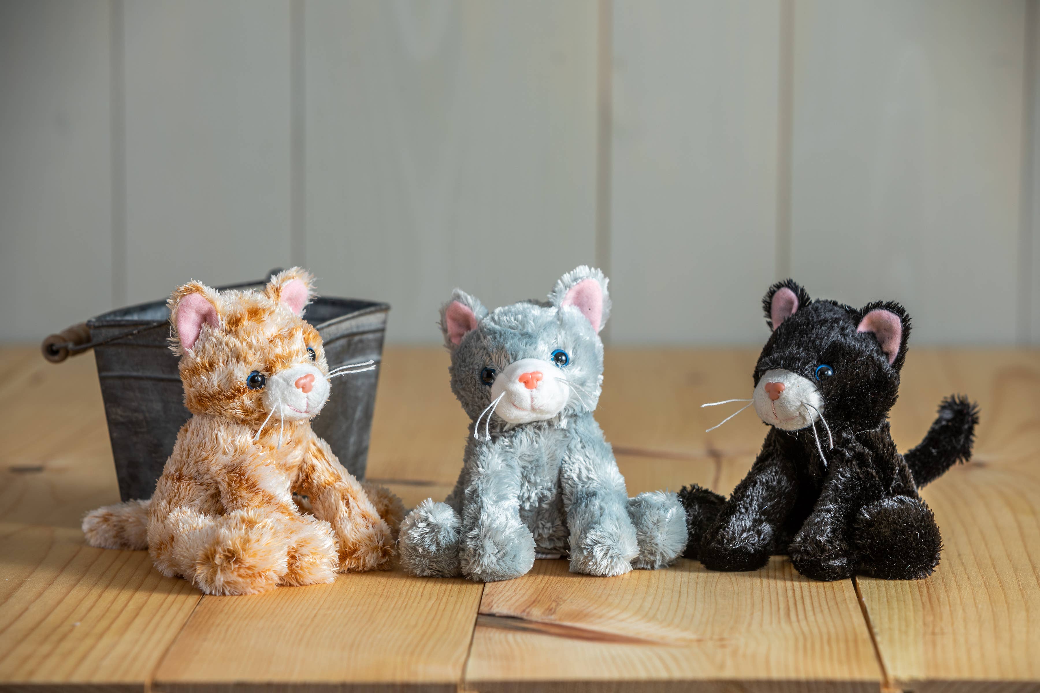 Catsy Kitty Assortment - Stuffed/Plush Toy for Kids & Baby