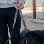 Dog Leash