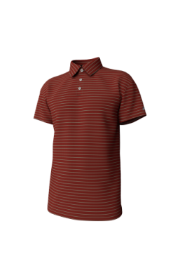 Horizon Stripe Perf Polo