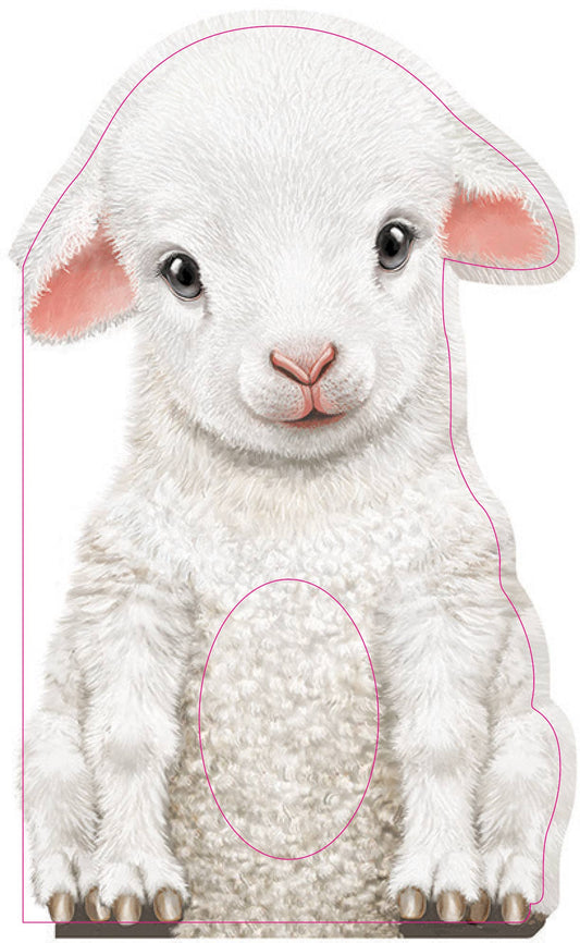 Furry Lamb (BB)